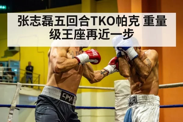 heavyweight boxer punch